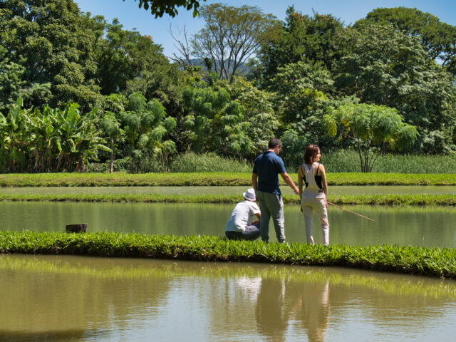 Coto de Pesca Peyú Quapé