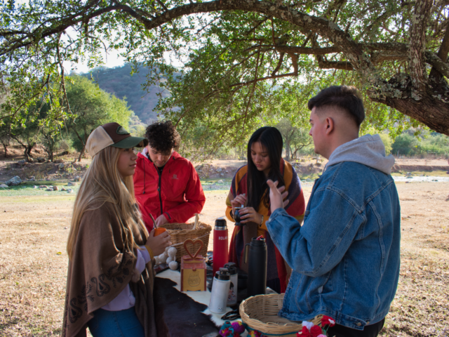 Camping Potrillo Criollo