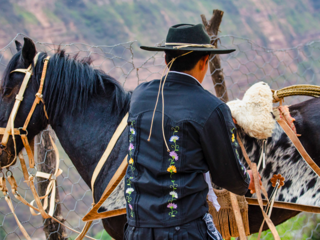 Fiesta Provincial del Gaucho y Fiesta Patronal