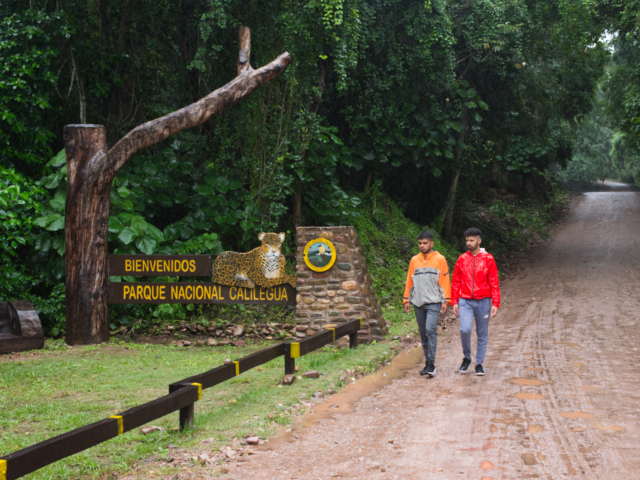 Parque Nacional Calilegua