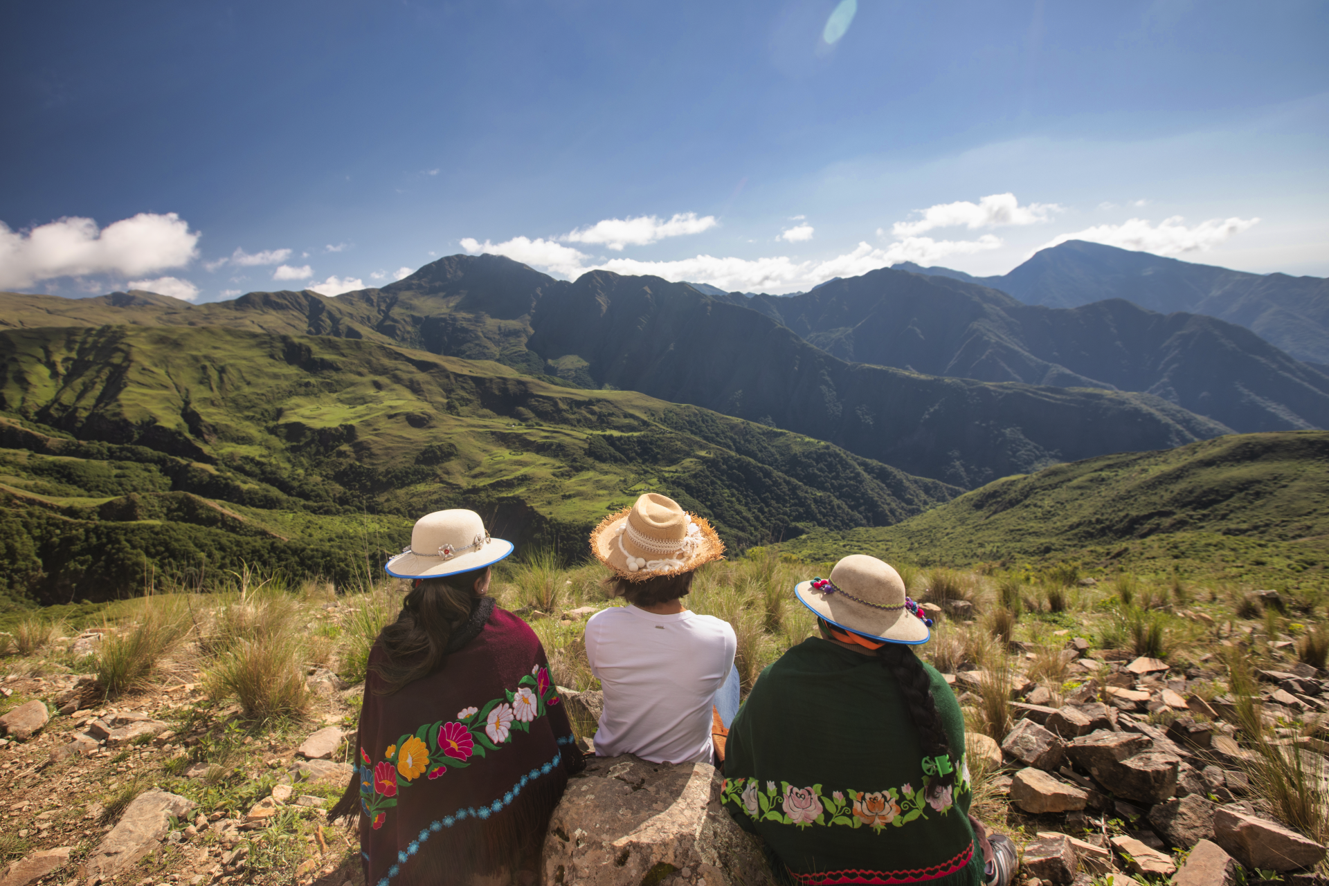 Circuito Mirador de las Yungas